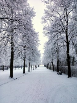 magic-spelldust:  snowy alley by Mittelfranke  