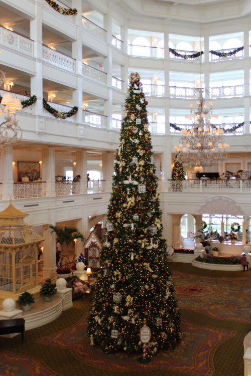brittanyseyes:The giant christmas tree inside the Grand Floriadian.