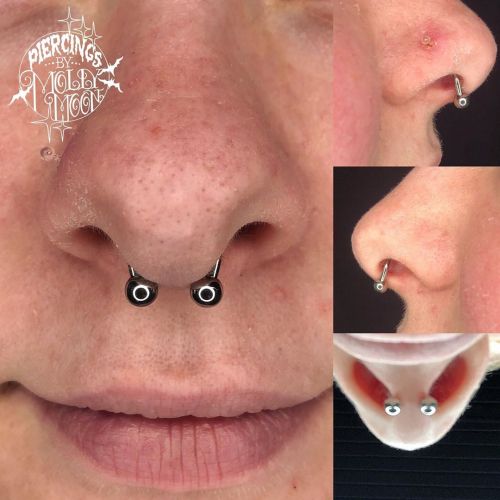 Here’s a septum @mollymaemoon performed at the beginning of the yearThanks Jessica!! . . . #pierci