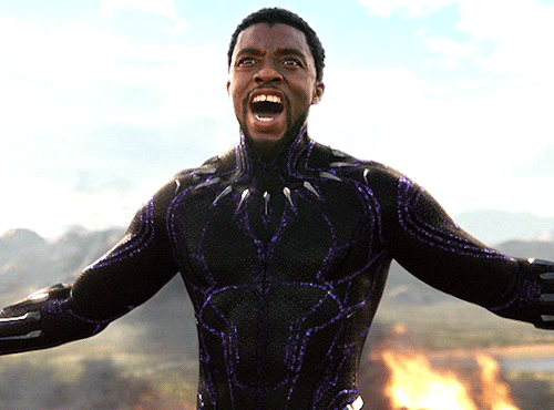 Black Panther Wallpaper Gif