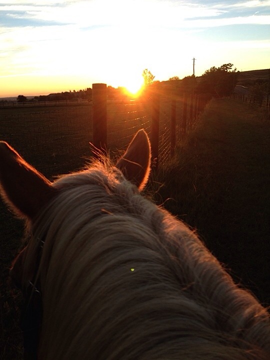 countryff4171:  Good morning sunshine 😏 