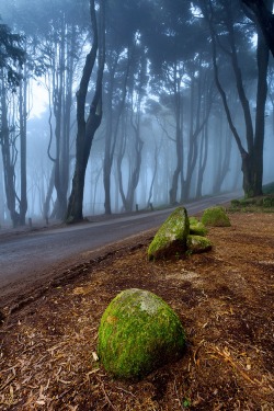 sublim-ature:  Sintra, PortugalJorge Maia 