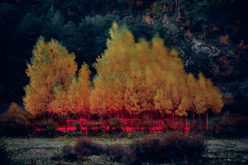 eiruvsq:  Photographer & Artist:Nicolas Rivals“LA LINEA ROJA”“Une ligne rouge tissée au fil d’un voyage à travers l’Espagne, pour relier l’Homme à la nature. Une ligne rouge pour fixer un instant de poésie, le temps d’une nuit. Des