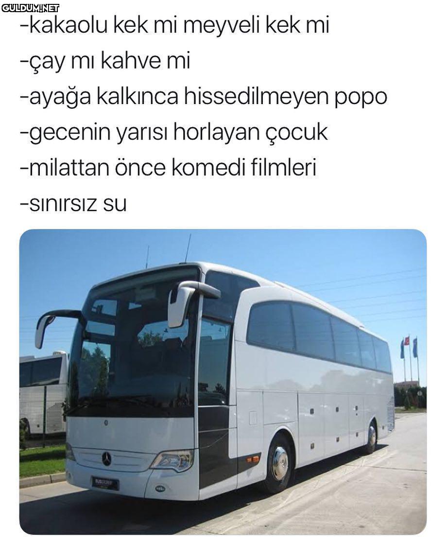 -kakaolu kek mi meyveli...