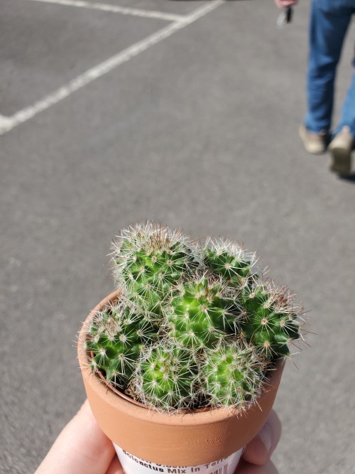 Garden Center Was A Fucking Success