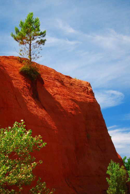 gyclli: Alone on its red Cliff /by Vainsang