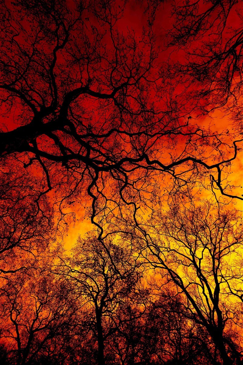 nxtureporn:  Firewood