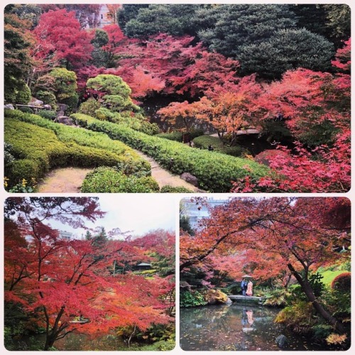 ＼おにわさん更新情報／ ‪[ 東京都品川区 ] 池田山公園 Ikedayama Park, Shinagawa-ku, Tokyo の写真・記事を更新しました。 ーー岡山後楽園で知られる #岡山藩主池