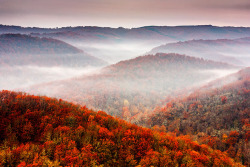 wild-earth:  Autumn Fogs 