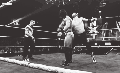 primocolon:  GREAT MATCHES IN 2013: Adrian Neville vs Sami Zayn - WWE NXT (November