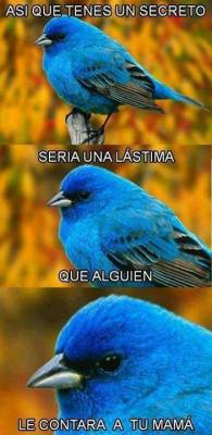 la-historia-de-mi-vida:  Msnskjsmand pasa! Pajaro ql):  snbsncb