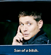Dean meme: quote → Son of a bitch!