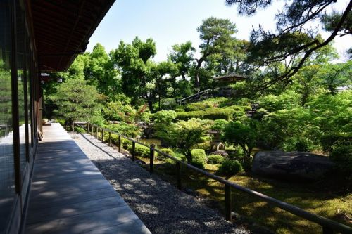 奈良県　奈良公園　 Nara Narapark  