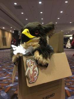 gryphonbutts:We put a tiny gryphon in a box.