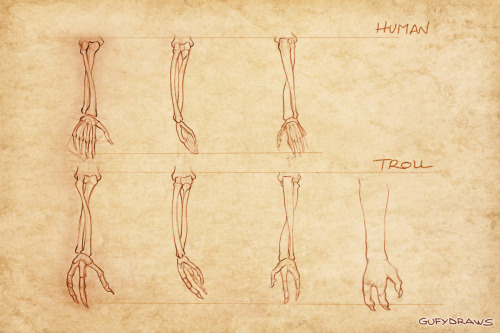 Extract from my project on the hypothetical anatomy of World of Warcraft&rsquo;s Horde races (up