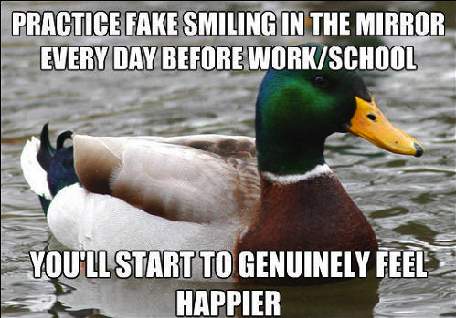 jaiking:  frankenbolt:  moriartygodofmischief:  This mallard is a friggin genius  …THAT FIRST ONE. THANK YOU DUCK.   Follow me at http://jaiking.tumblr.com/ You’ll be glad you did.