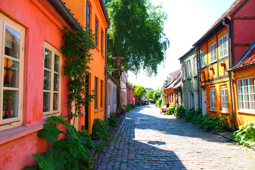 travelingcolors: Møllestien, a steet in Aarhus | Denmark (by Ann Hung)