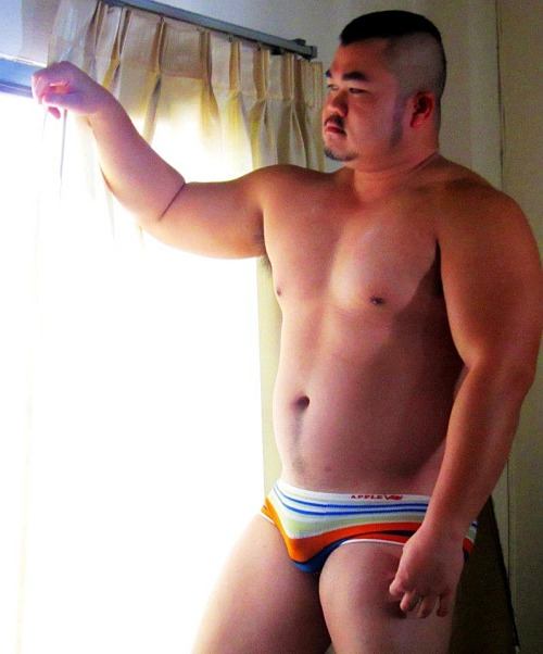 Chubby Bear