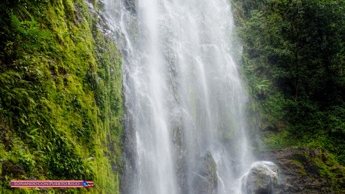 Charco Prieto, Bayamón, Puerto Rico