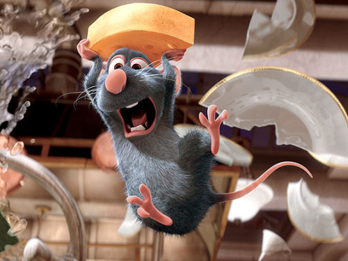 Happy World Rat Day!