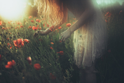 floralls:  Silent Evenings by  Laura Makabresku