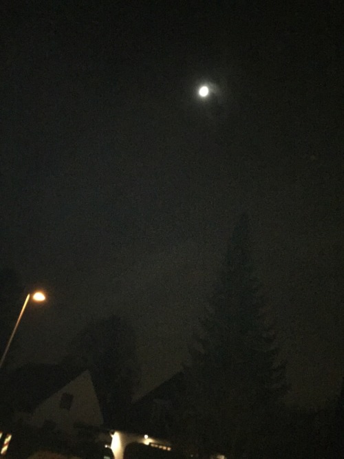 schnapsliebe:  everything goes on and on