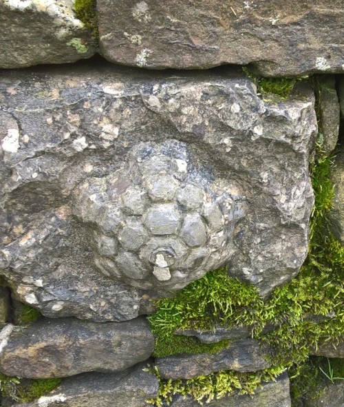 witches-art-and-weirdness:Stone carvings.Taken in the moors of skipton.