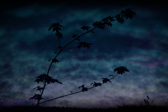 beyond the valley
