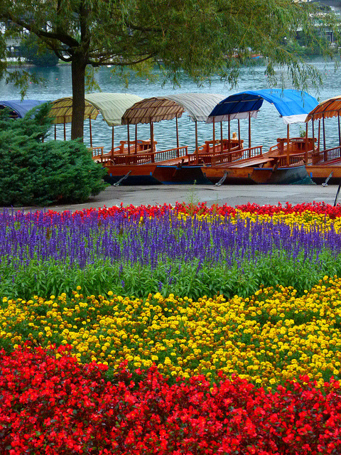 Display of colors on the shores of Lake Bled / Slovenia (by lo.tangelini).