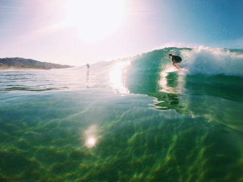 juliacrowleyphotography:  Scripps Pier, La Jolla more surf shots @juliacrowley_ 