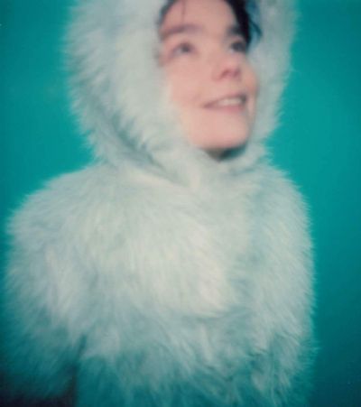 bjorkfr:  Snorri Brothers (1997)