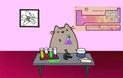 carlsagan:  unclepolymer:  Pusheen the cat making some chemistry.  That cat is not wearing safety goggles, he hasn’t even bothered to clean up that spilled solvent, and he is holding that Erlenmeyer flask way to close to his face. Pusheen the Cat, more