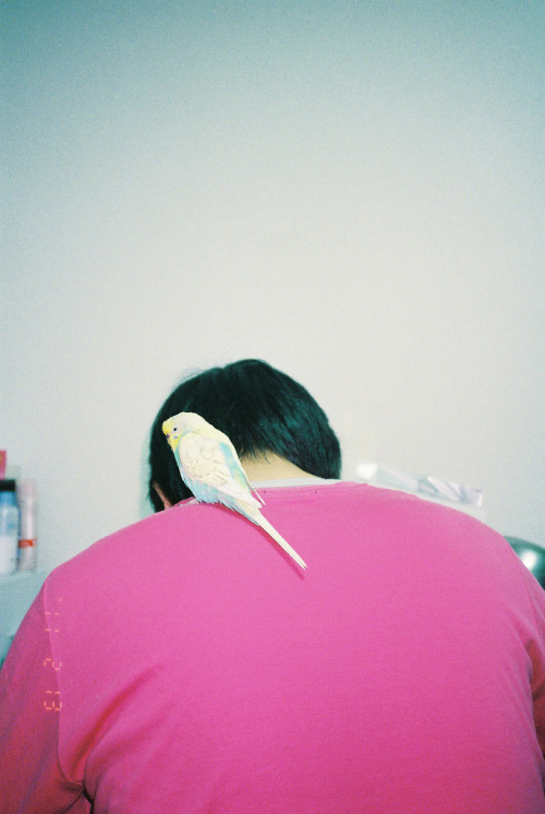 kvntrn:  Mai Chaya