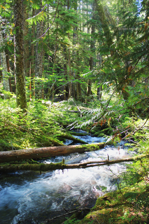 bright-witch:Mountain sunbeams, photography by me. Please do not remove credit!