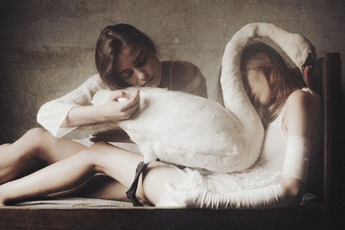 XXX asylum-art:  Laura Makrabresku: “The photo