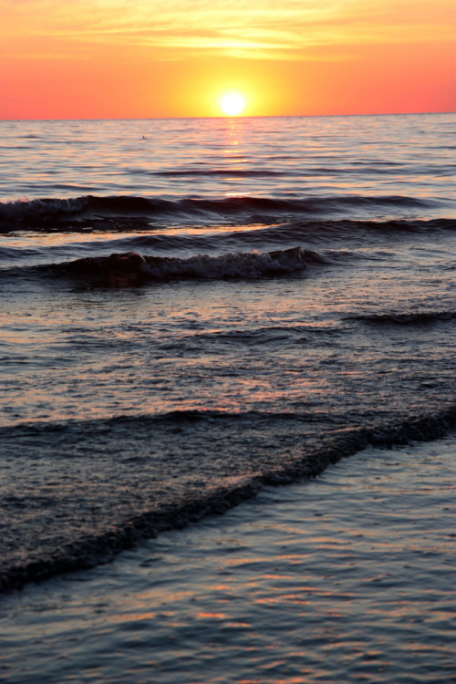 -vvaste:  the sound of the sea (by ef@)