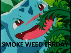 funleaf:  Weed and Pokemon