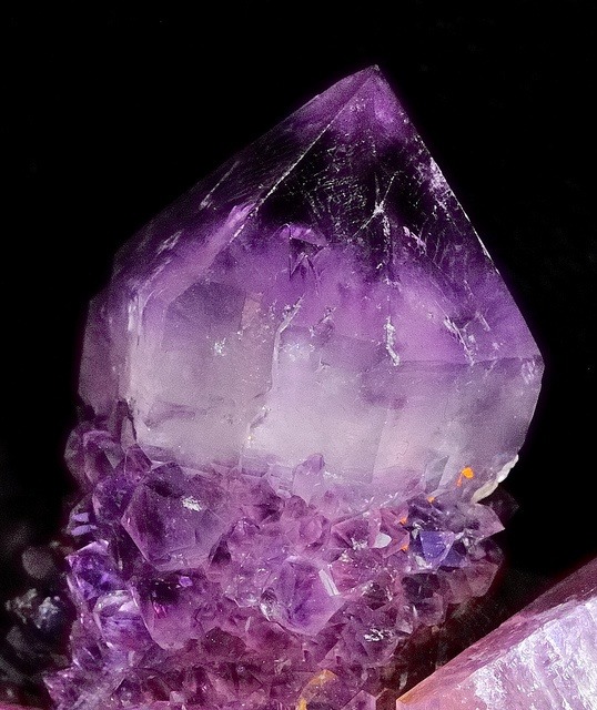 mineralogy-porn:  Cactus Amethyst 