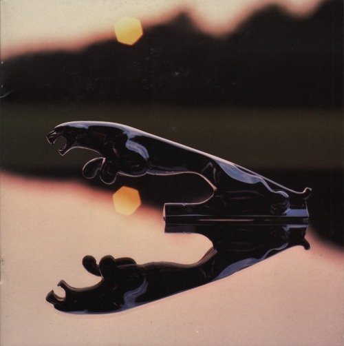 process-vision:1986 Jaguar sales brochure front cover