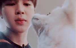 Jimins Love For Animals 