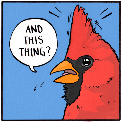 falseknees:An #oldknees remastered!