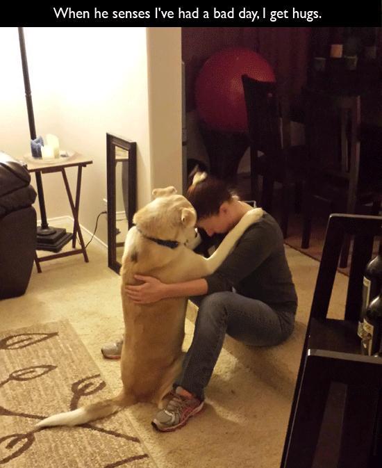 unblushing:pleatedjeans:This is Why We Have Dogs (22 Pics)Penelope hugs me, always