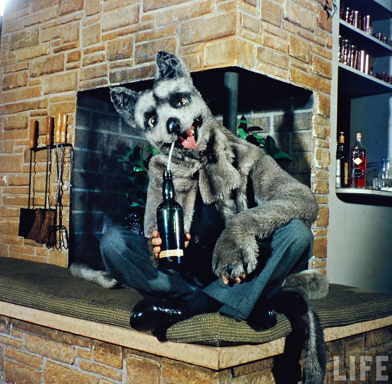 Ralph Morse - Play-Man In Dog Suit.