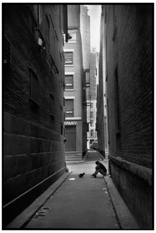 A street scene straight from Henri Cartier-Bresson on #InternationalCatDay!Downtown, Manhattan, New 