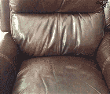 For animated GIFs