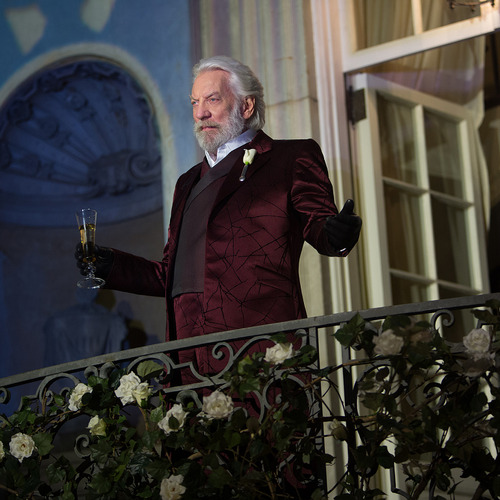 Why "The Hunger Games" matter.