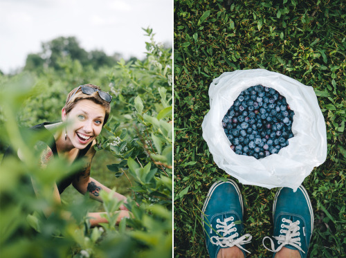 evanperigo:  Blueberry picking with Emily