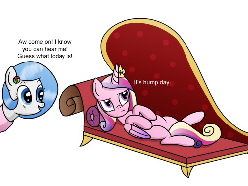 ask-googlechrome:  »So how happy are folks who save hundreds of dollars switching to Geico? »I’d say happier than Chrome reciting an old annoying joke with an underlying innuendo ((I’m sure filly Rarity won’t mind if Cadance barrows her sofa))