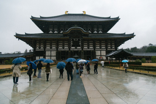 To Nara.Canon 5D & 24-105mm f/4L. Dec, 2016.