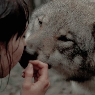 Arya Month Day 2: Nymeria